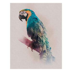 Komar Wandbild Animals Paradise Parrot Tiere B/L: ca. 40x50 cm