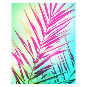Komar Wandbild Shine Palmenblätter B/L: ca. 40x50 cm