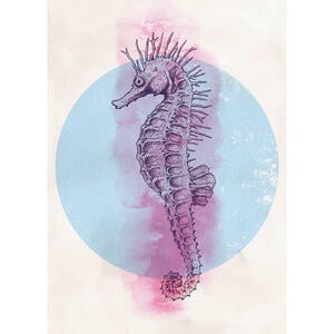 Komar Wandbild Sea Horse Circle Tiere B/L: ca. 50x70 cm