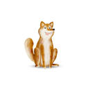 Bild 1 von Komar Wandbild Cute Animal Dog Hund B/L: ca. 50x70 cm