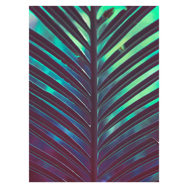 Bild 1 von Komar Wandbild Hide Palmenblätter B/L: ca. 30x40 cm