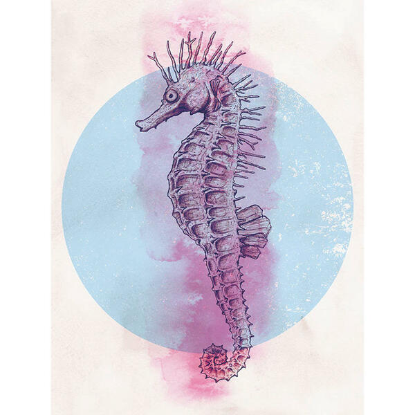 Bild 1 von Komar Wandbild Sea Horse Circle Tiere B/L: ca. 30x40 cm
