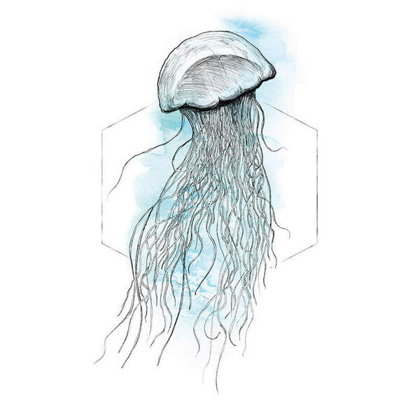 Bild 1 von Komar Wandbild Jellyfish Watercolor Tiere B/L: ca. 40x50 cm