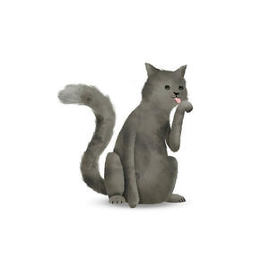 Komar Wandbild Cute Animal Cat Katze B/L: ca. 50x70 cm