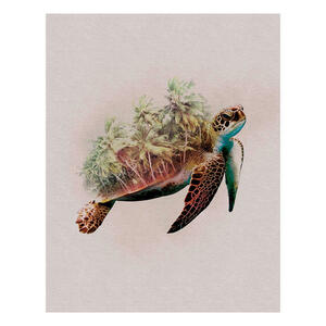 Komar Wandbild Animals Paradise Turtle Tiere B/L: ca. 40x50 cm
