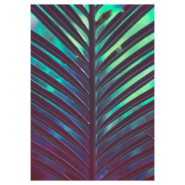 Bild 1 von Komar Wandbild Hide Palmenblätter B/L: ca. 50x70 cm