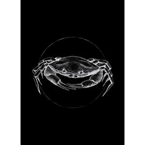 Komar Wandbild Crab Black Tiere B/L: ca. 50x70 cm