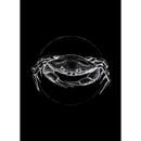 Bild 1 von Komar Wandbild Crab Black Tiere B/L: ca. 50x70 cm