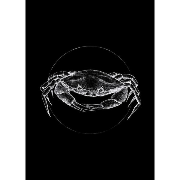 Bild 1 von Komar Wandbild Crab Black Tiere B/L: ca. 50x70 cm