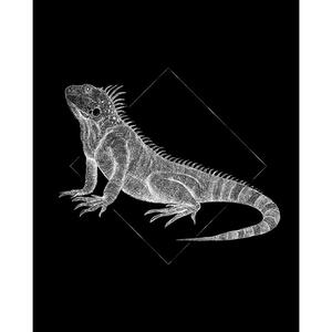 Komar Wandbild Iguana Black Tiere B/L: ca. 40x50 cm