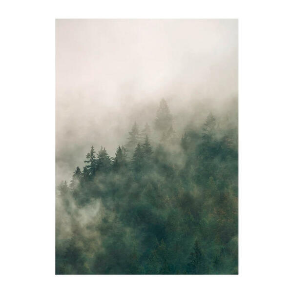 Bild 1 von Komar Wandbild Tales of the Carpathians Wald B/L: ca. 30x40 cm