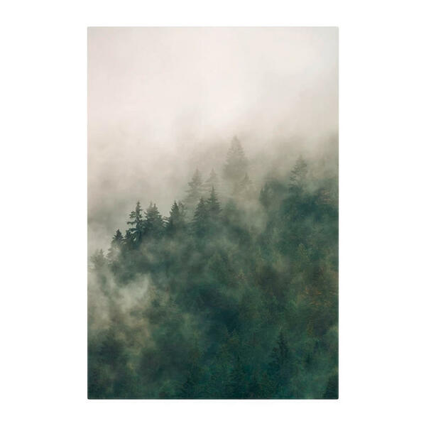 Bild 1 von Komar Wandbild Tales of the Carpathians Wald B/L: ca. 50x70 cm