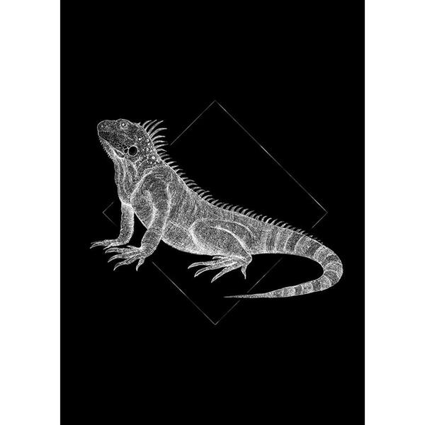 Bild 1 von Komar Wandbild Iguana Black Tiere B/L: ca. 50x70 cm