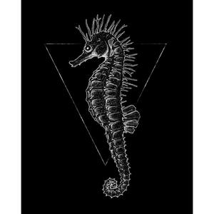 Komar Wandbild Sea Horse Black Tiere B/L: ca. 40x50 cm