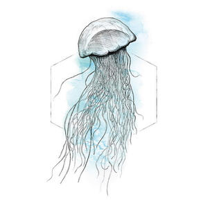 Komar Wandbild Jellyfish Watercolor Tiere B/L: ca. 30x40 cm