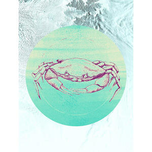 Komar Wandbild Crab Sea Tiere B/L: ca. 30x40 cm