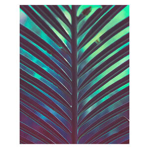 Komar Wandbild Hide Palmenblätter B/L: ca. 40x50 cm