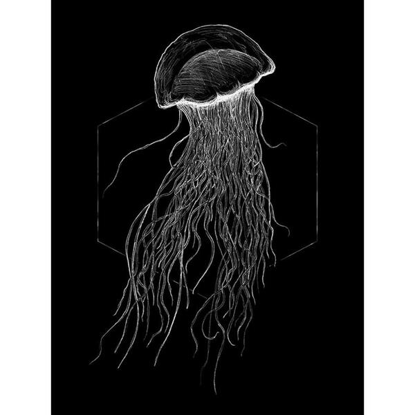 Bild 1 von Komar Wandbild Jellyfish Black Tiere B/L: ca. 30x40 cm