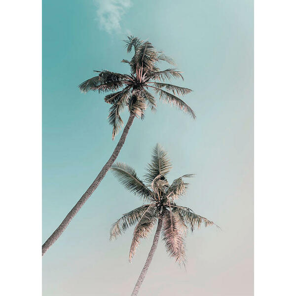 Bild 1 von Komar Wandbild Miami Palms Palmen B/L: ca. 50x70 cm