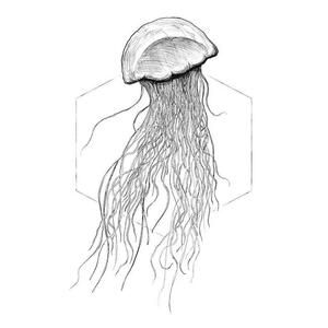 Komar Wandbild Jellyfish White Tiere B/L: ca. 30x40 cm
