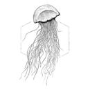 Bild 1 von Komar Wandbild Jellyfish White Tiere B/L: ca. 30x40 cm
