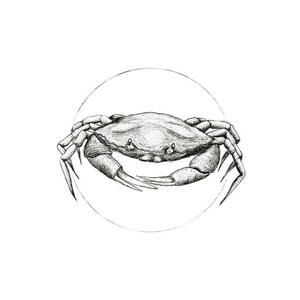 Komar Wandbild Crab White Tiere B/L: ca. 40x50 cm