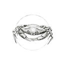 Bild 1 von Komar Wandbild Crab White Tiere B/L: ca. 40x50 cm