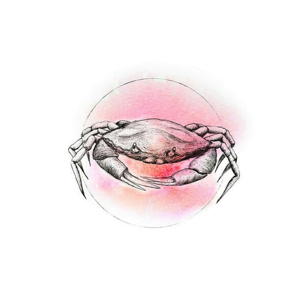 Bild 1 von Komar Wandbild Crab Watercolor Tiere B/L: ca. 50x70 cm