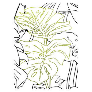 Komar Wandbild Monstera Borsigiana Pflanzen B/L: ca. 40x50 cm