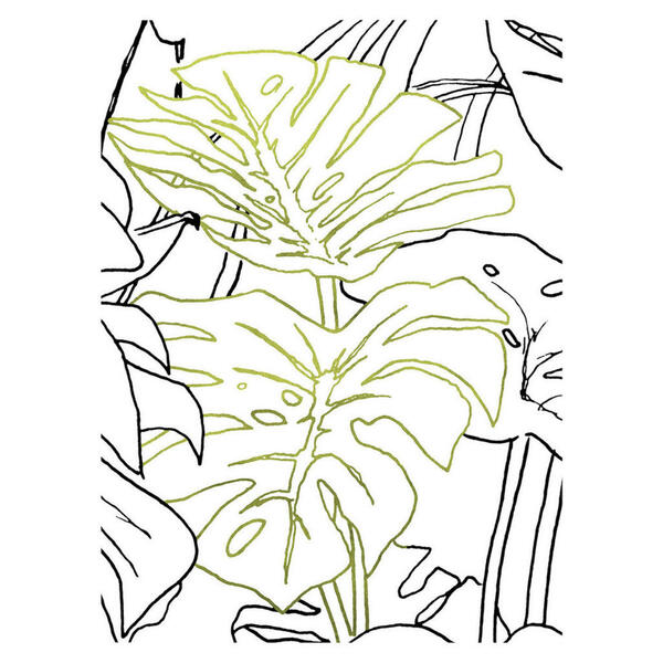 Bild 1 von Komar Wandbild Monstera Borsigiana Pflanzen B/L: ca. 40x50 cm
