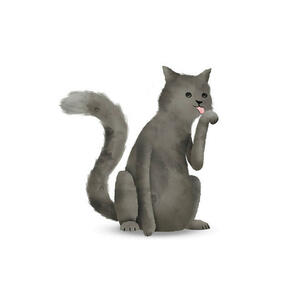 Komar Wandbild Cute Animal Cat Katze
