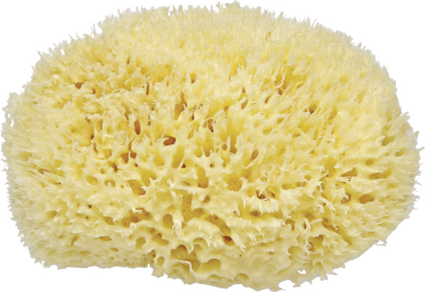 Bild 2 von FOR YOUR Beauty Natur-Badeschwamm