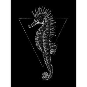 Komar Wandbild Sea Horse Black Tiere B/L: ca. 30x40 cm