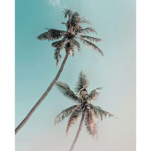 Komar Wandbild Miami Palms Palmen B/L: ca. 40x50 cm