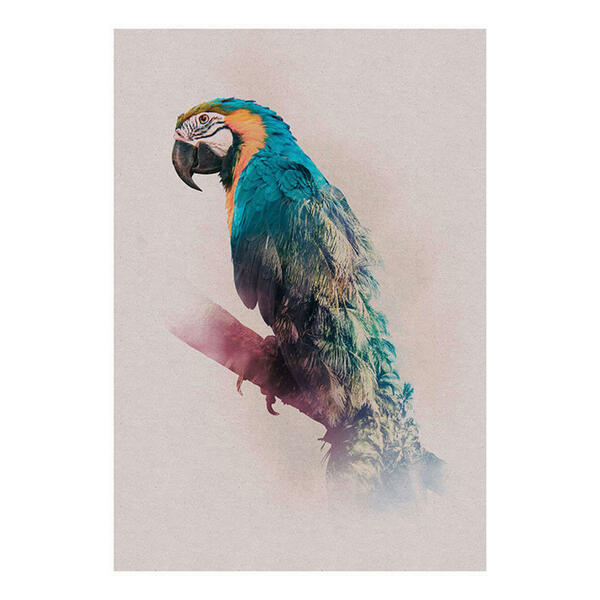 Bild 1 von Komar Wandbild Animals Paradise Parrot Tiere B/L: ca. 50x70 cm