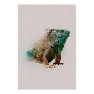 Komar Wandbild Animals Paradise Iguana Tiere B/L: ca. 50x70 cm