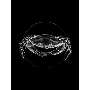 Komar Wandbild Crab Black Tiere B/L: ca. 30x40 cm