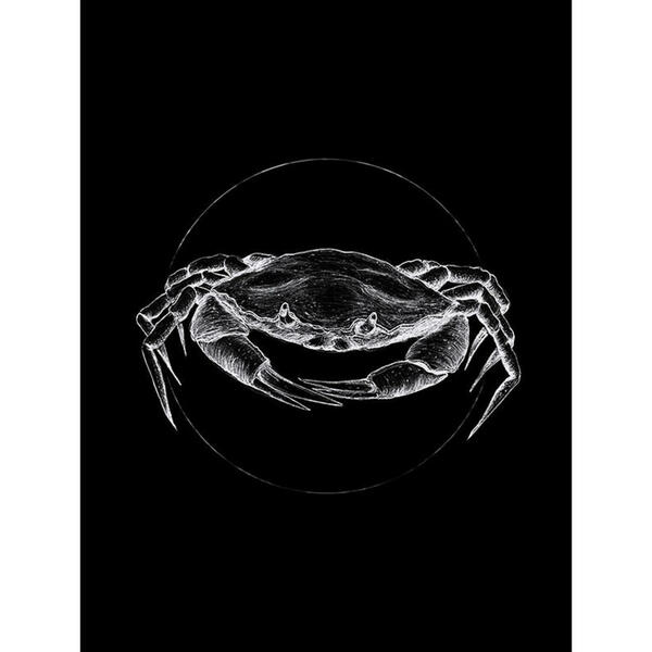 Bild 1 von Komar Wandbild Crab Black Tiere B/L: ca. 30x40 cm