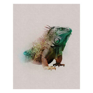 Komar Wandbild Animals Paradise Iguana Tiere B/L: ca. 40x50 cm