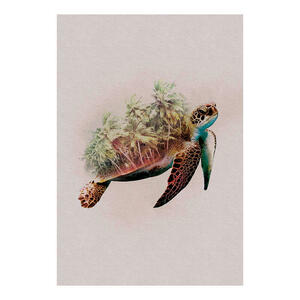 Komar Wandbild Animals Paradise Turtle Tiere B/L: ca. 50x70 cm