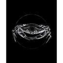 Bild 1 von Komar Wandbild Crab Black Tiere B/L: ca. 40x50 cm