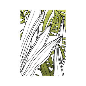 Komar Wandbild Bleached Leaves Palmen B/L: ca. 30x40 cm