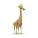 Bild 1 von Komar Wandbild Cute Animal Giraffe