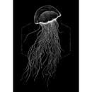 Bild 1 von Komar Wandbild Jellyfish Black Tiere B/L: ca. 50x70 cm
