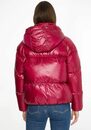 Bild 1 von Tommy Hilfiger Steppjacke »POP COLOUR DOWN JACKET« mit Stehkragen