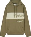 Bild 3 von Calvin Klein Jeans Kapuzensweatshirt »INSTITUTIONAL BLOCKING HOODIE«
