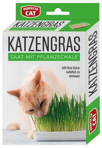 Perfecto Cat Katzengras 100 g