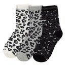 Bild 1 von Damen-Socken mit Leo-Muster, 3er-Pack