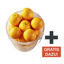 Bild 1 von EIN EIMER VOLL ORANGEN SPANIEN „NAVELINAS“, mindestens 5,5 kg, Kl. II, jeder Eimer + GRATIS DAZU: Beim Kauf von ein Eimer Orangen mindestens 5,5 kg. 1 x 10-Liter-Eimer, Neben der Ware