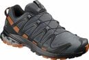 Bild 1 von Salomon »XA PRO 3D v8 GORE-TEX« Laufschuh wasserdicht